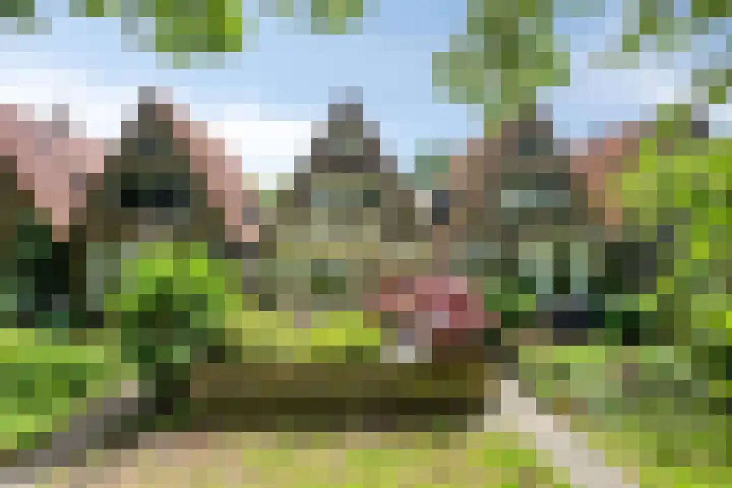 Westervesting 27 Edam