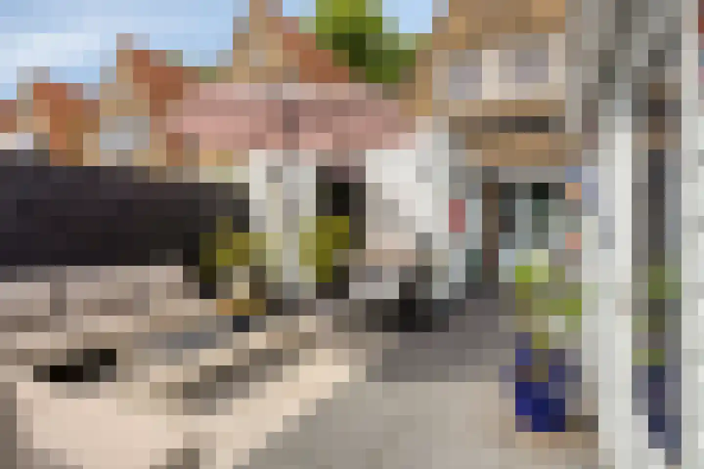 Westervesting 27 Edam thumbnail 22