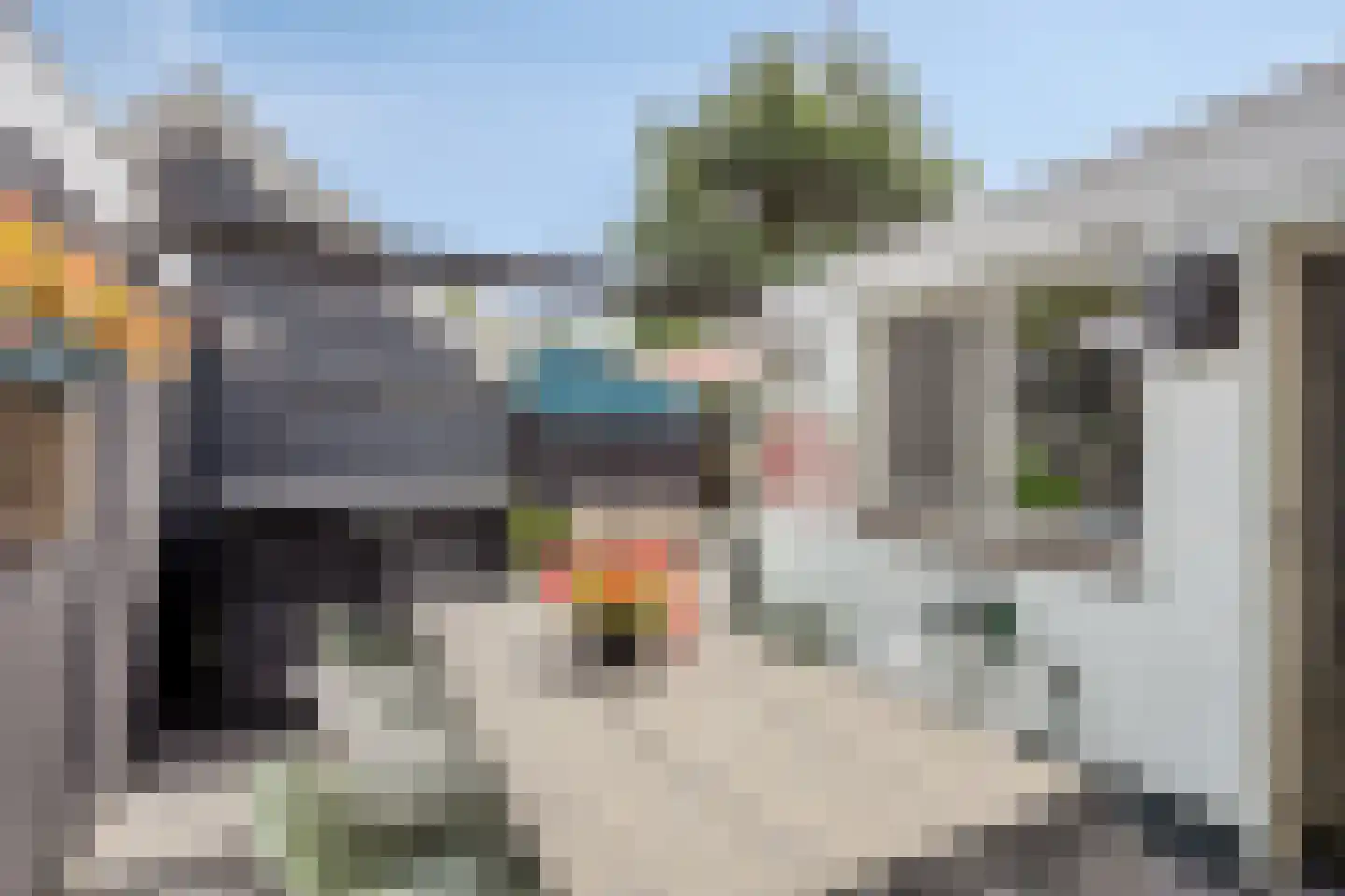 Westervesting 27 Edam thumbnail 39