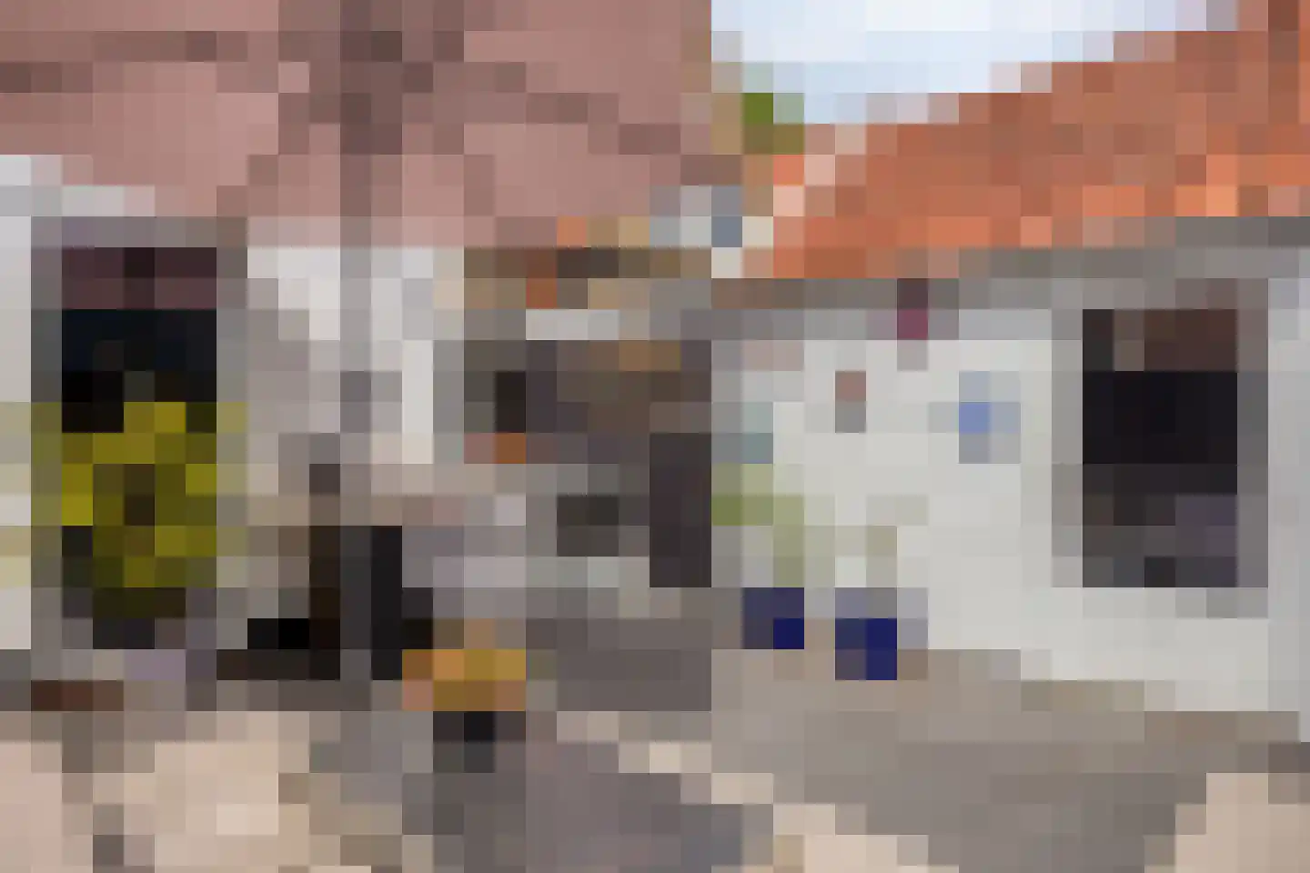 Westervesting 27 Edam thumbnail 42