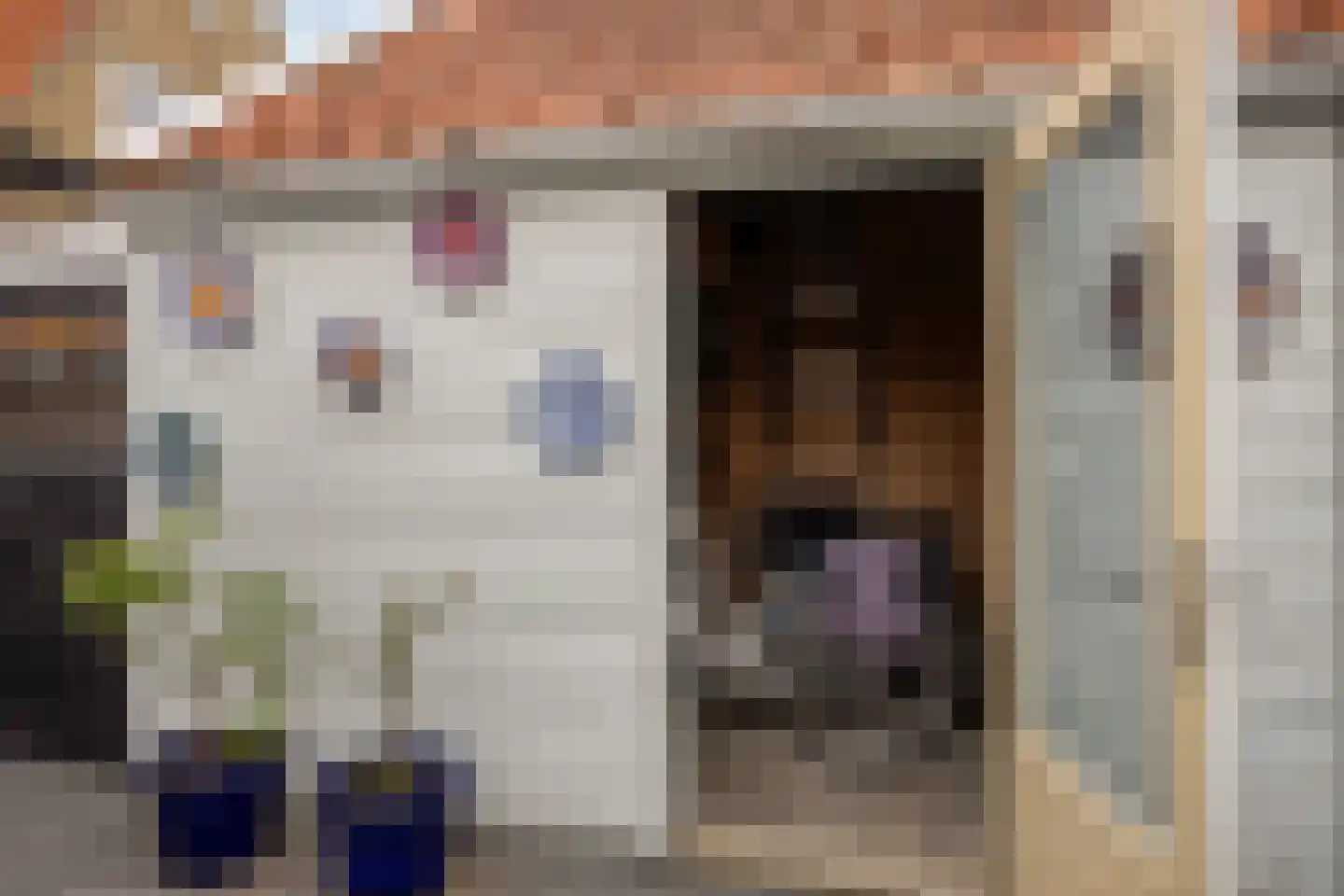 Westervesting 27 Edam thumbnail 43