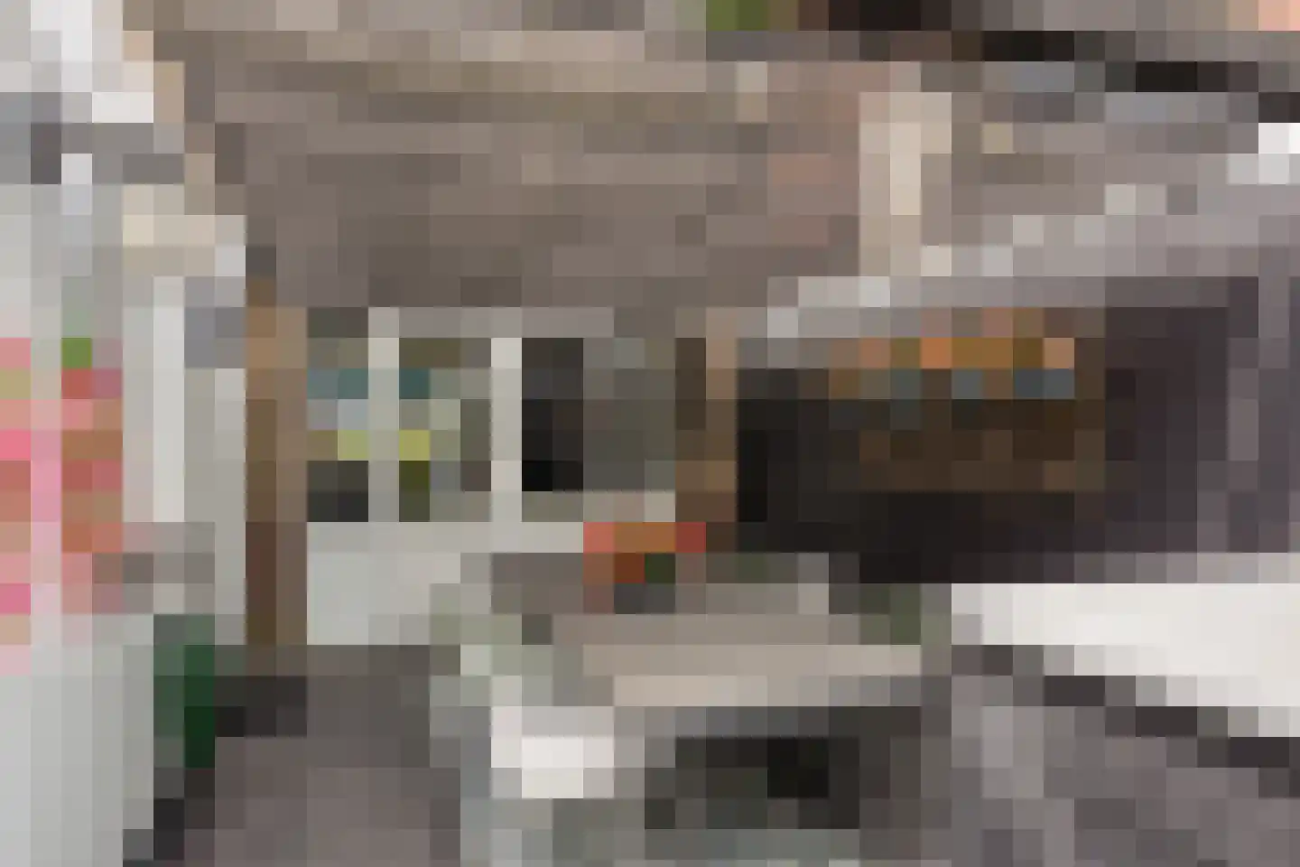 Westervesting 27 Edam thumbnail 44