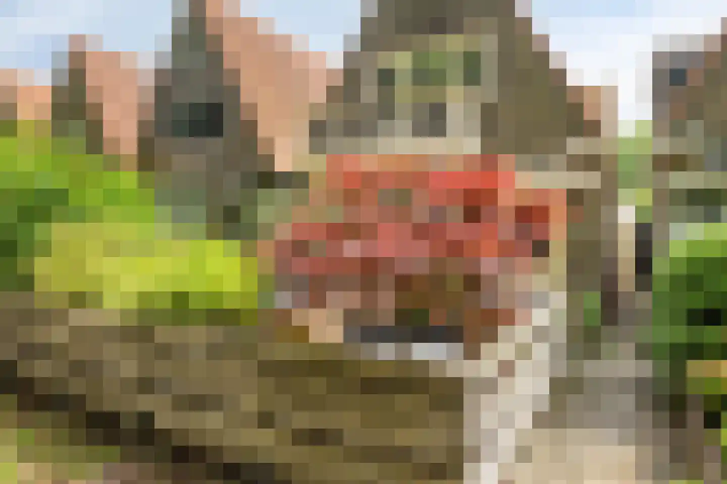 Westervesting 27 Edam thumbnail 45