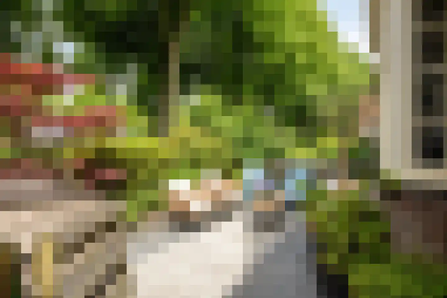 Westervesting 27 Edam thumbnail 46
