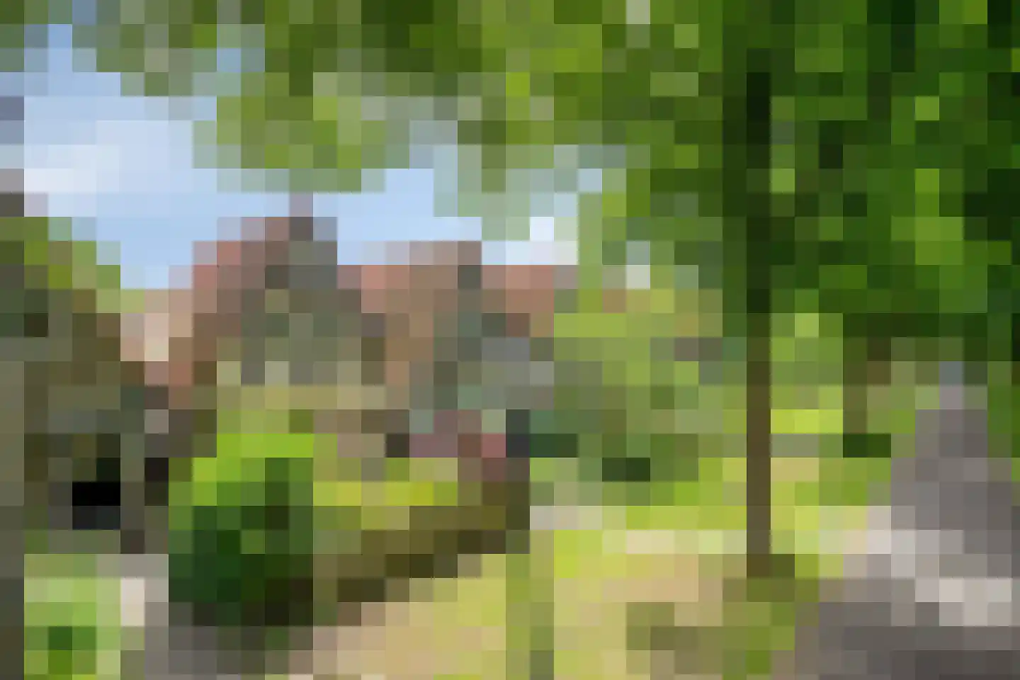 Westervesting 27 Edam thumbnail 47