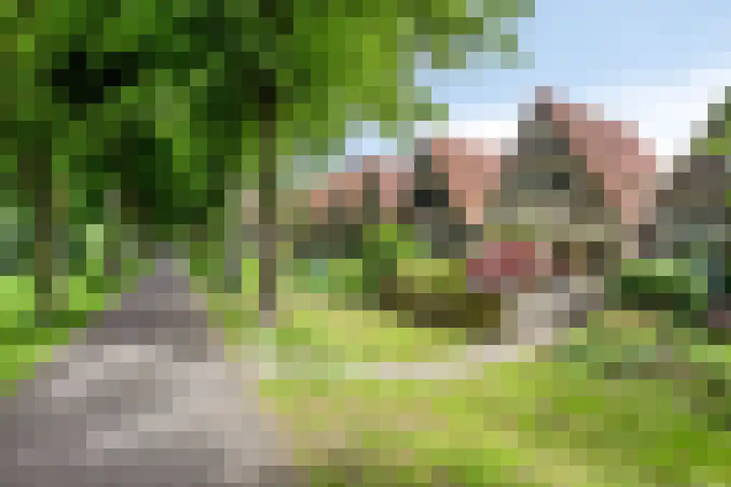 Westervesting 27 Edam thumbnail 49