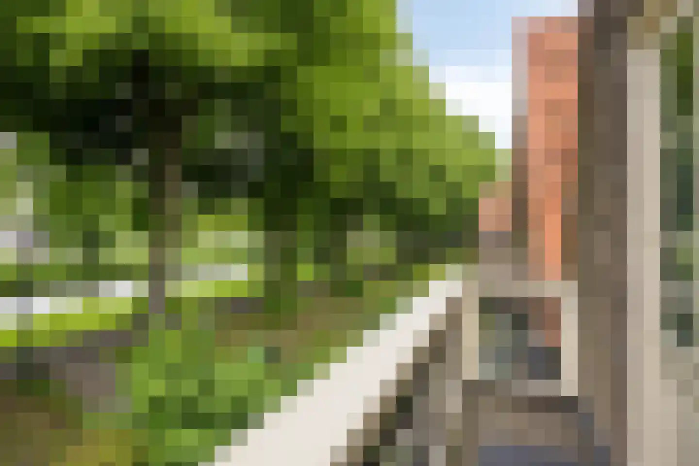 Westervesting 27 Edam thumbnail 50