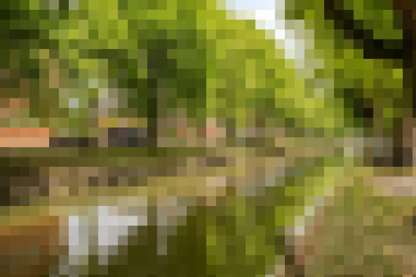 Westervesting 27 Edam thumbnail 52