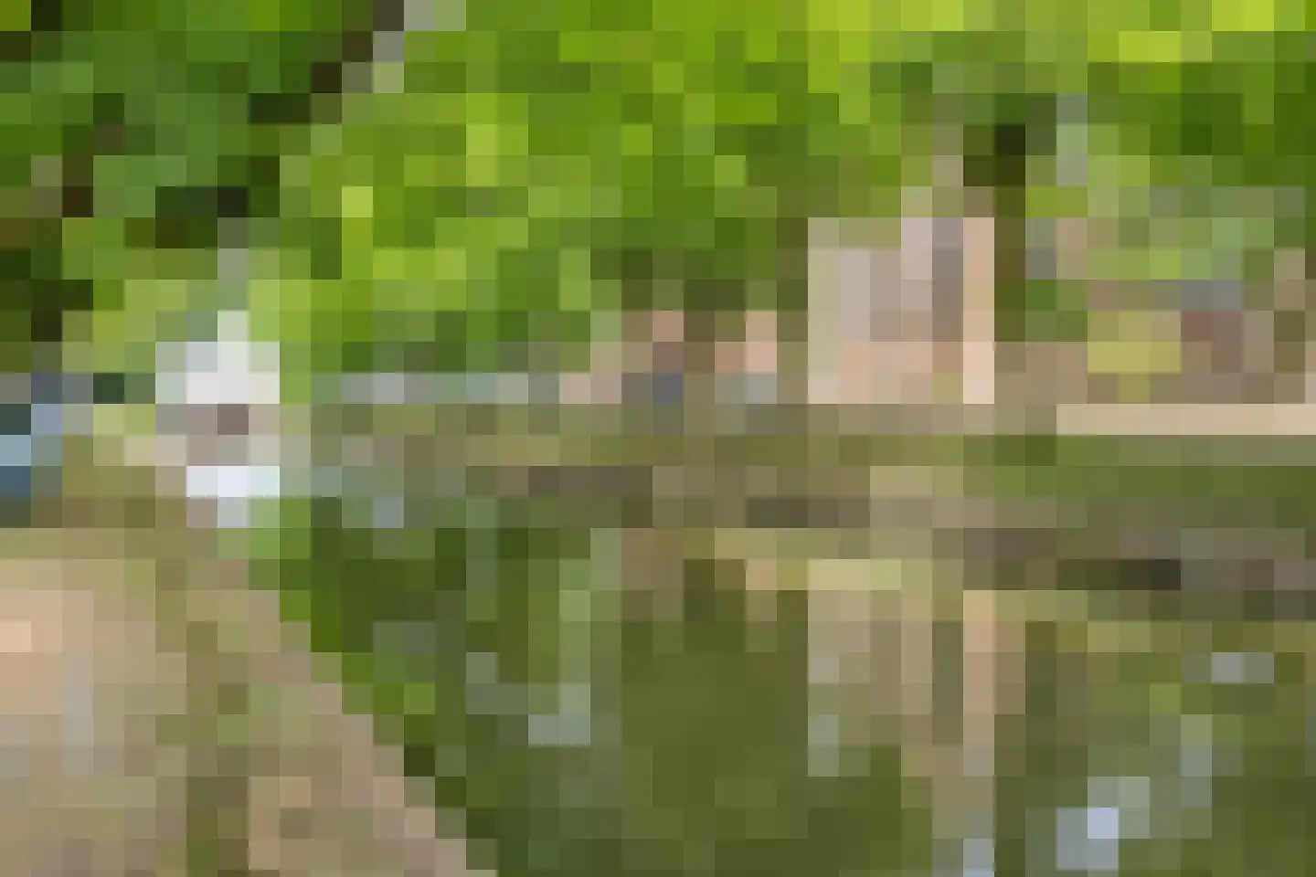 Westervesting 27 Edam thumbnail 53