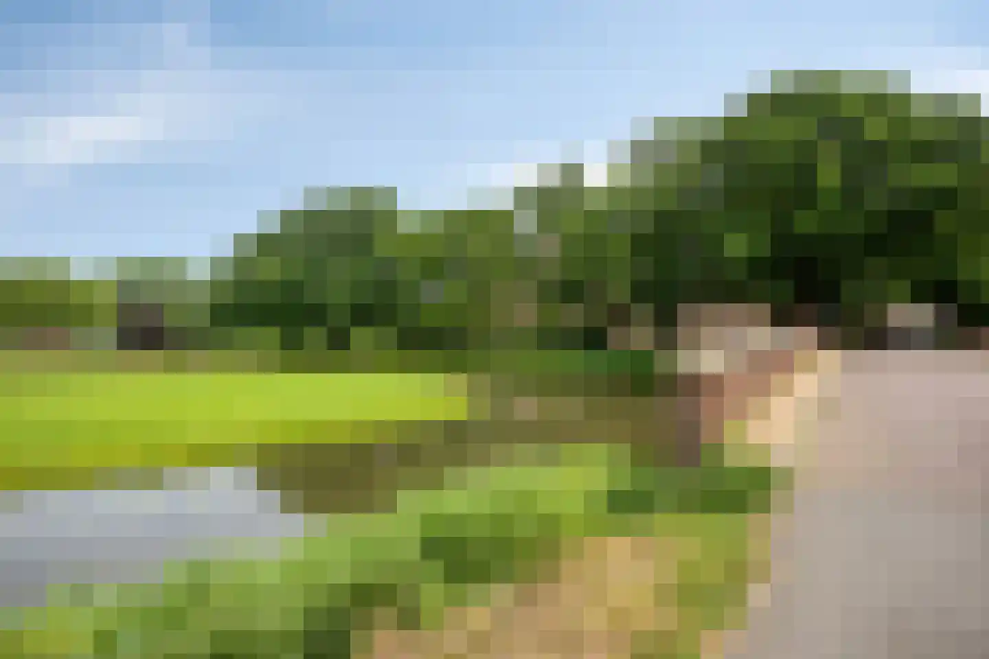 Westervesting 27 Edam thumbnail 55