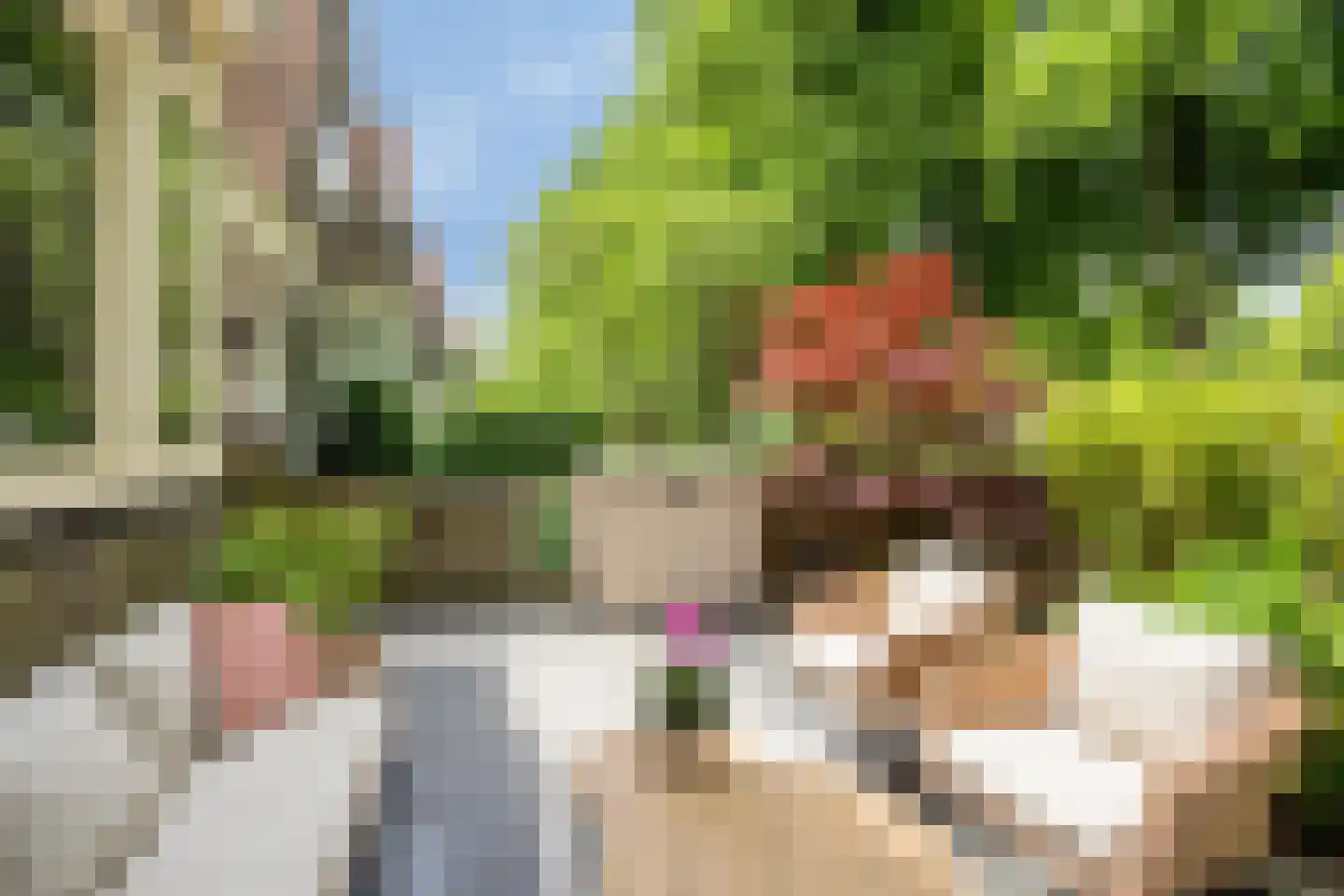 Westervesting 27 Edam thumbnail 6