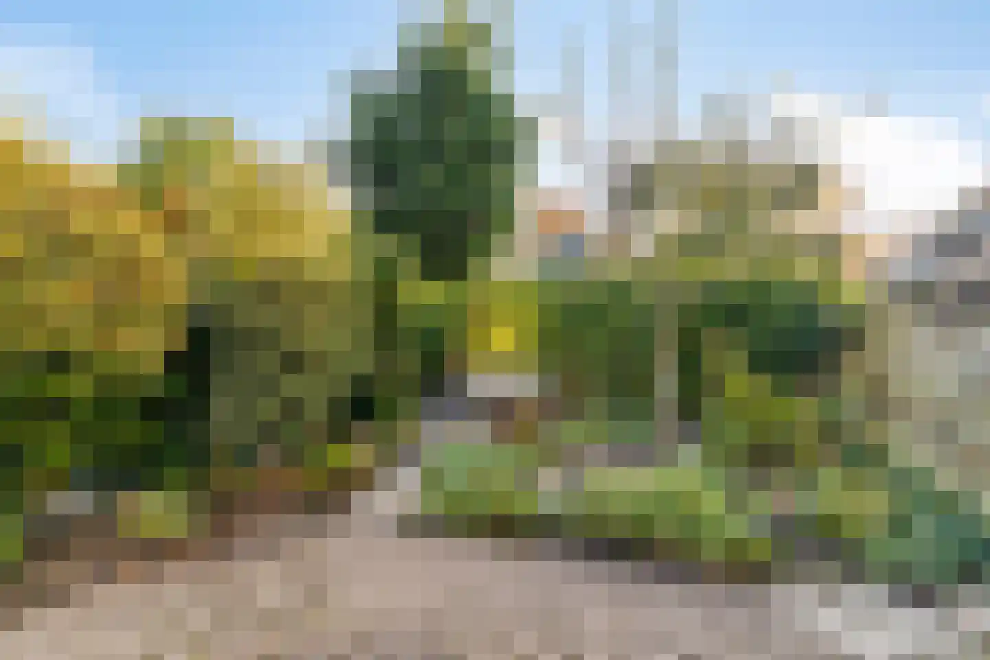 Westervesting 28 Edam thumbnail 31