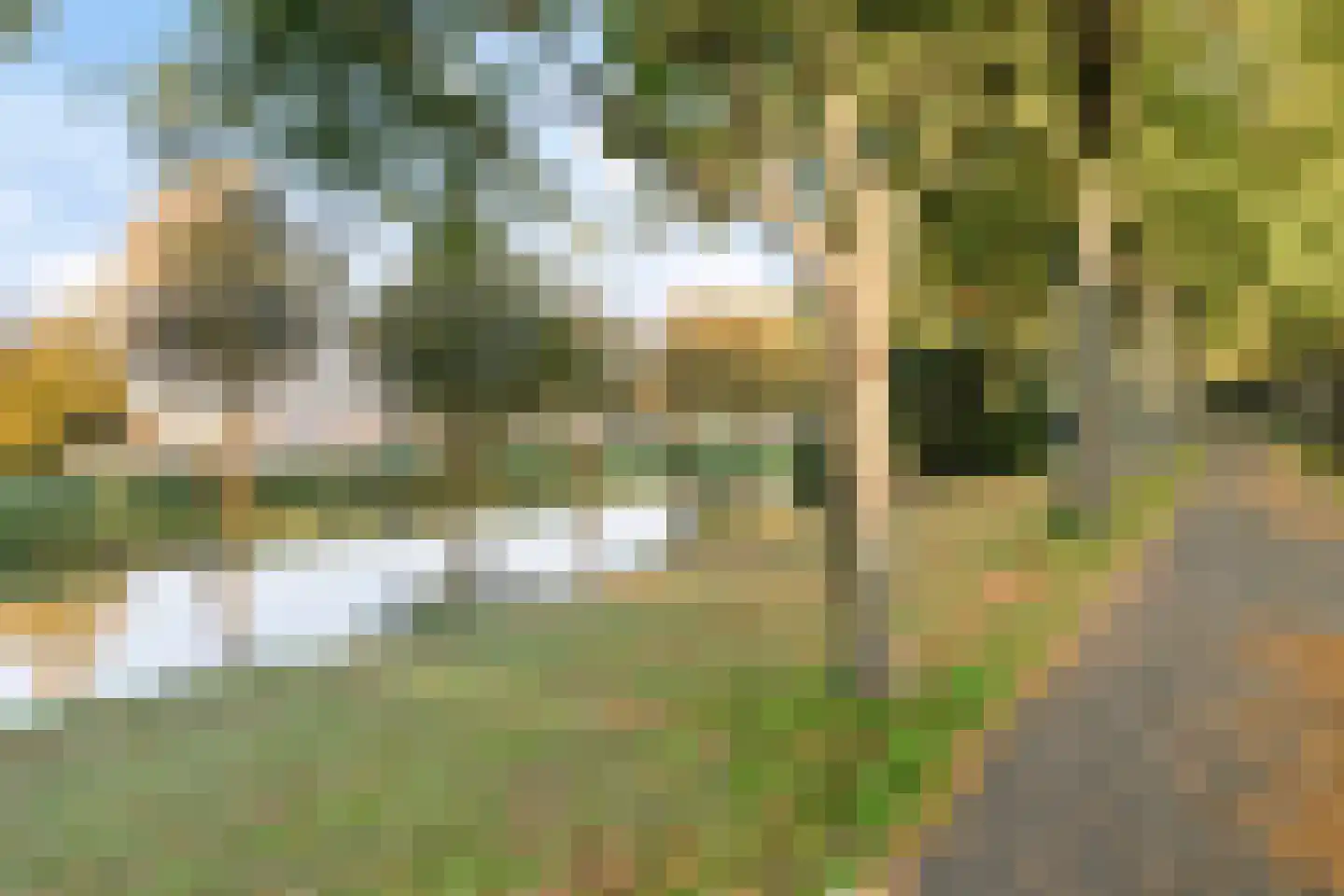 Westervesting 28 Edam thumbnail 33