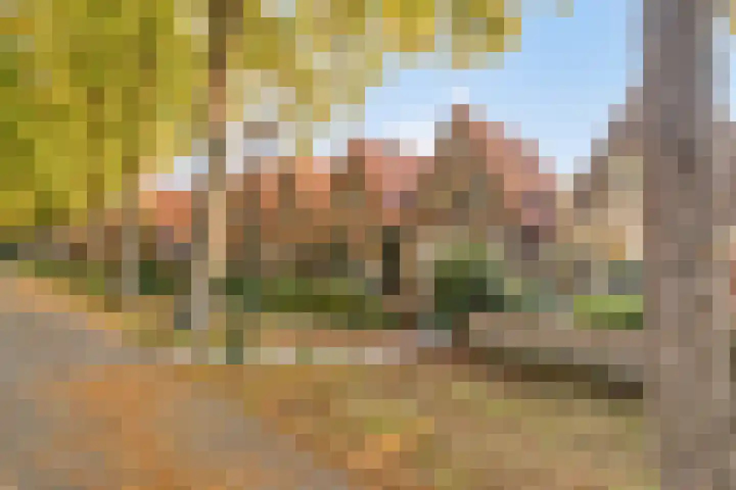 Westervesting 28 Edam thumbnail 40