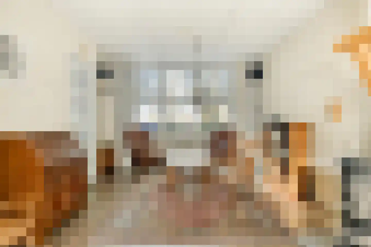 Westervesting 28 Edam thumbnail 8