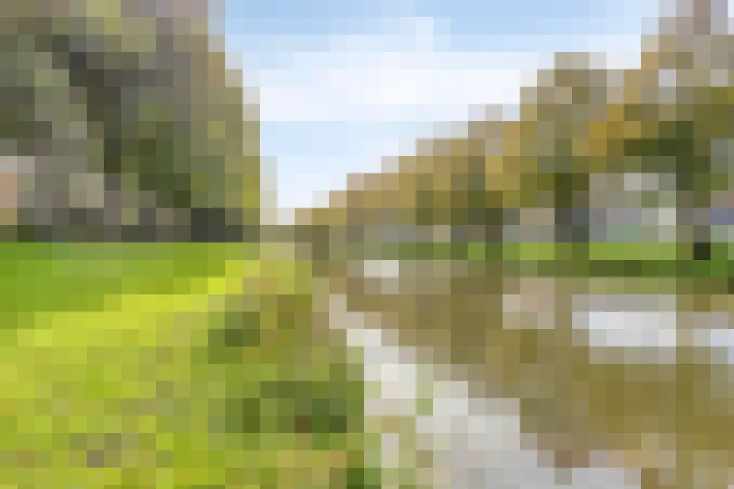 Westervesting 29 Edam thumbnail 27