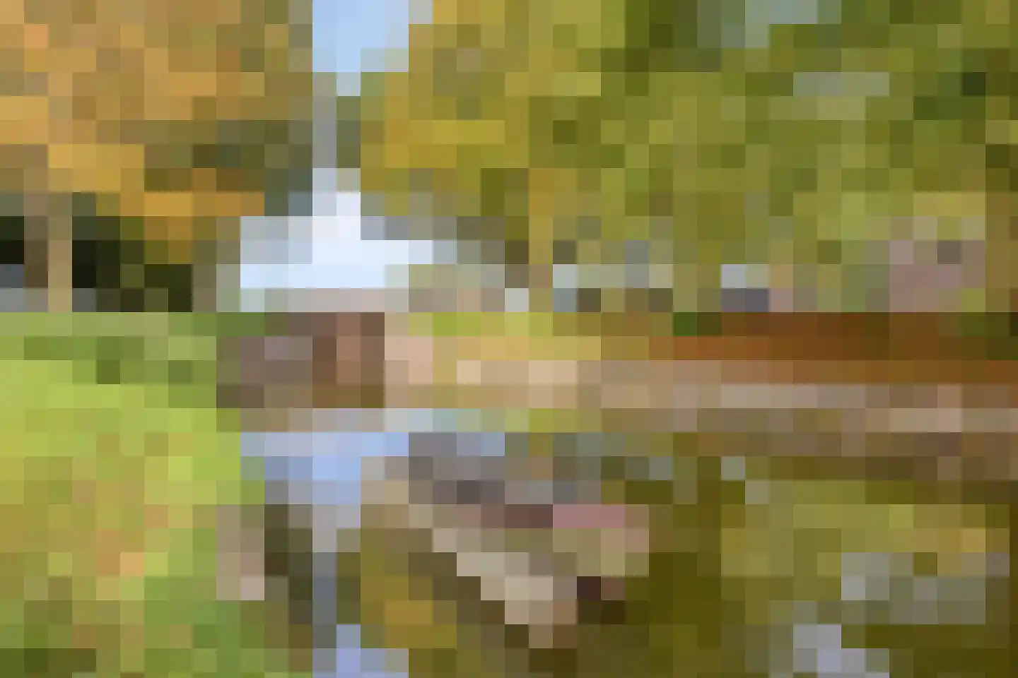 Westervesting 29 Edam thumbnail 28
