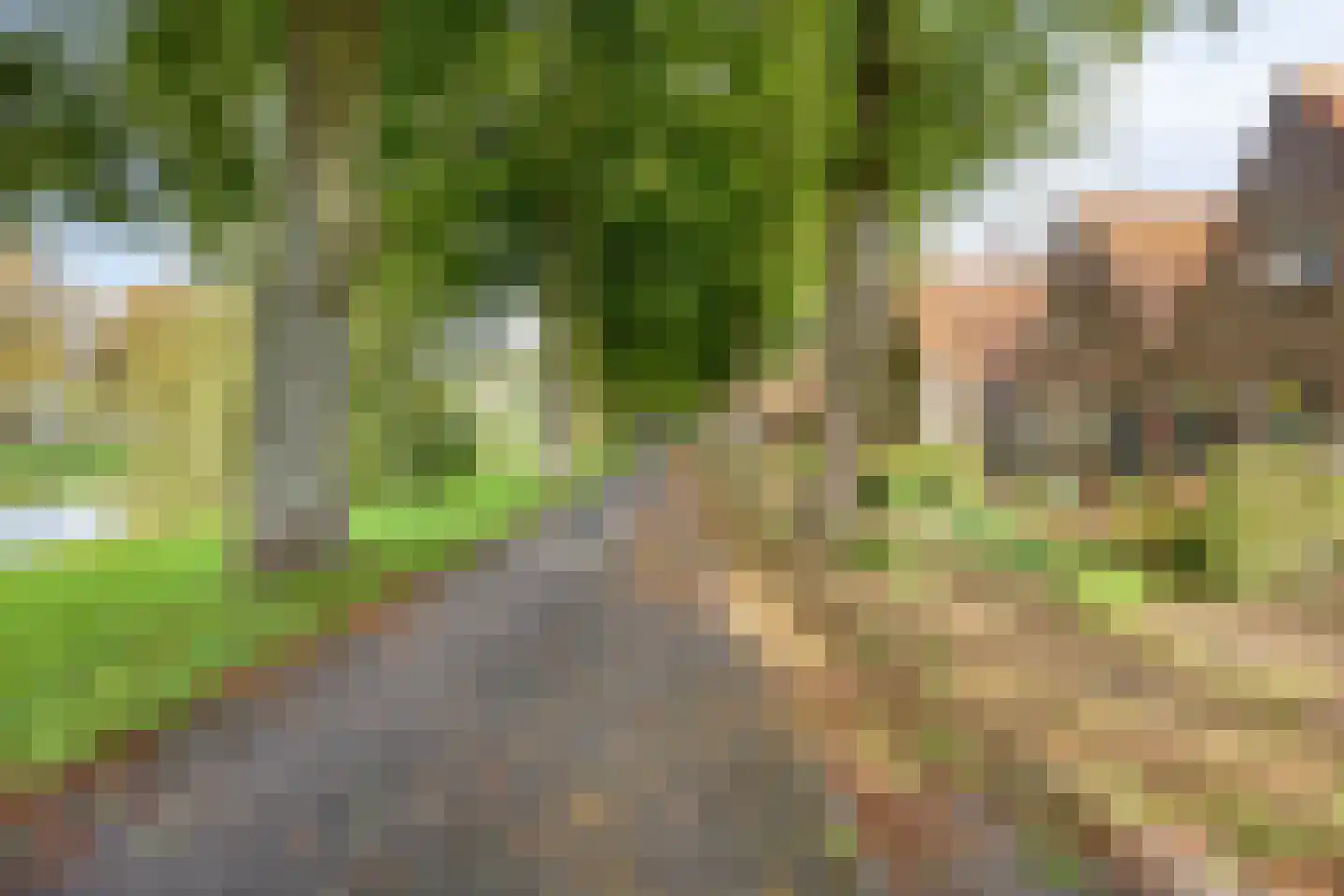 Westervesting 29 Edam thumbnail 9