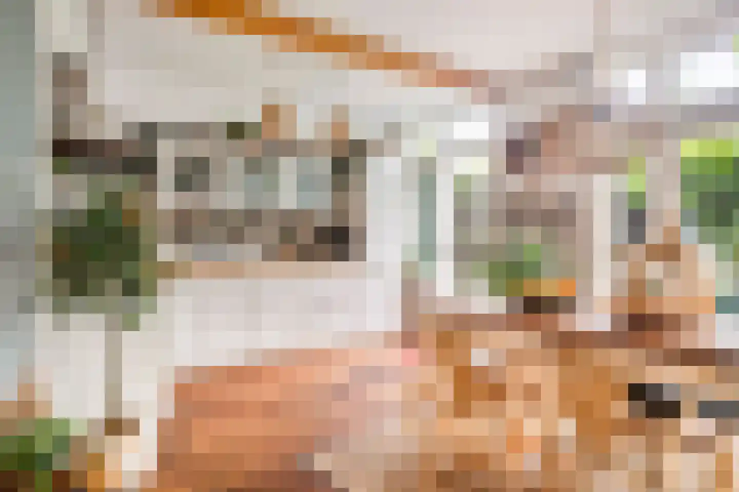 Westervesting 6 Edam thumbnail 13