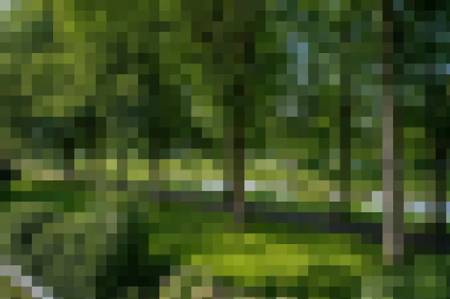 Westervesting 6 Edam thumbnail 24