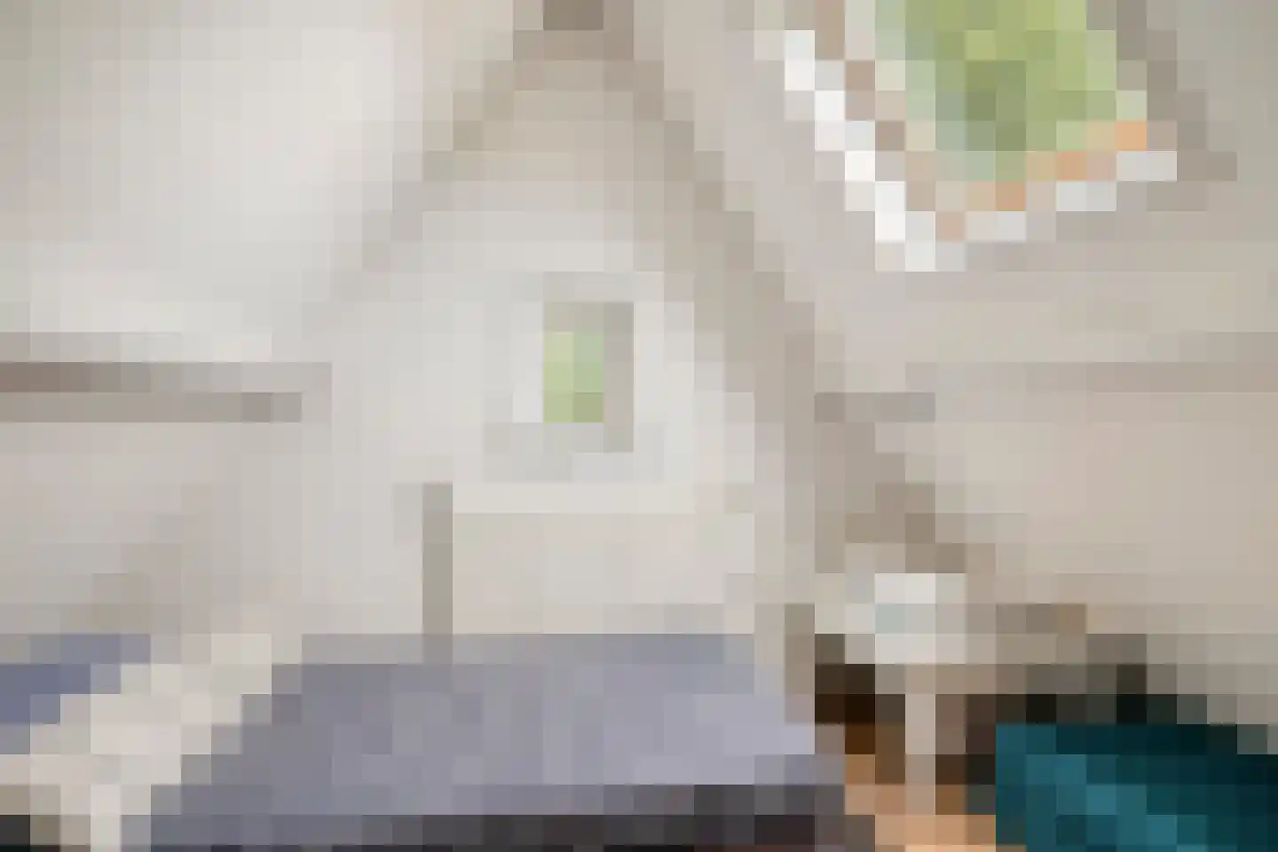 Westervesting 6 Edam thumbnail 25