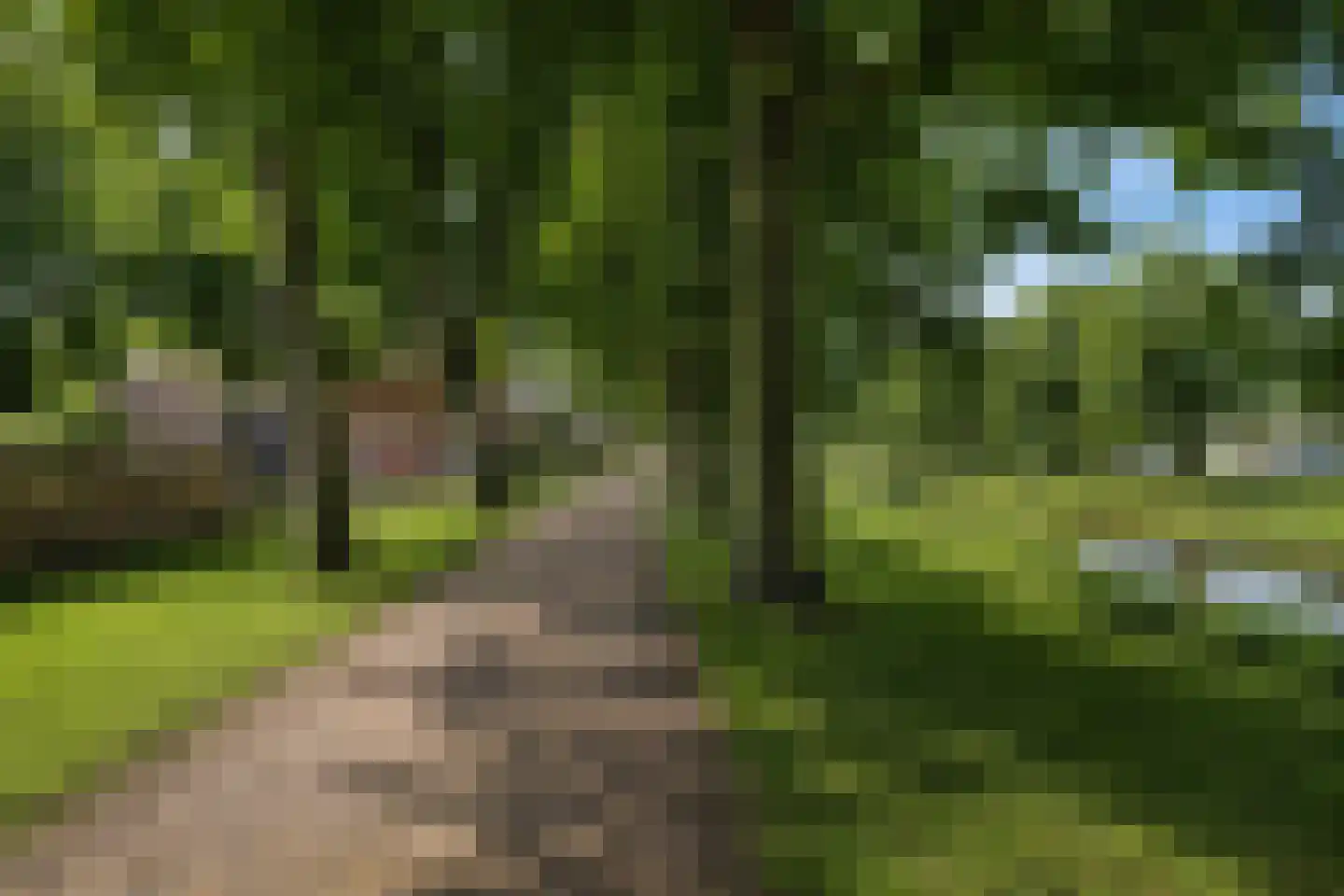 Westervesting 6 Edam thumbnail 27