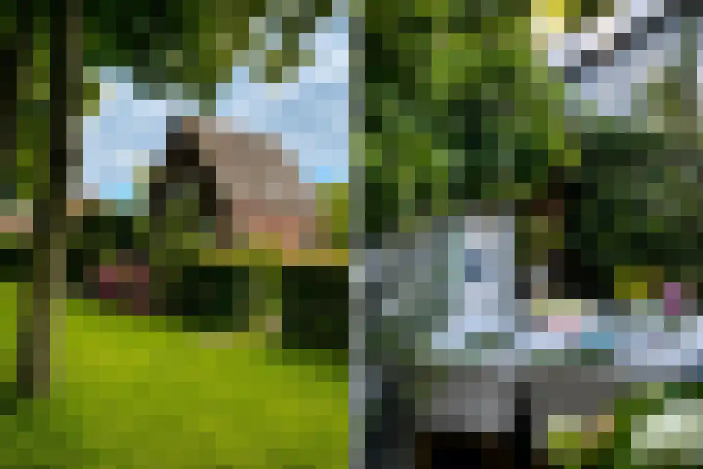 Westervesting 6 Edam thumbnail 28