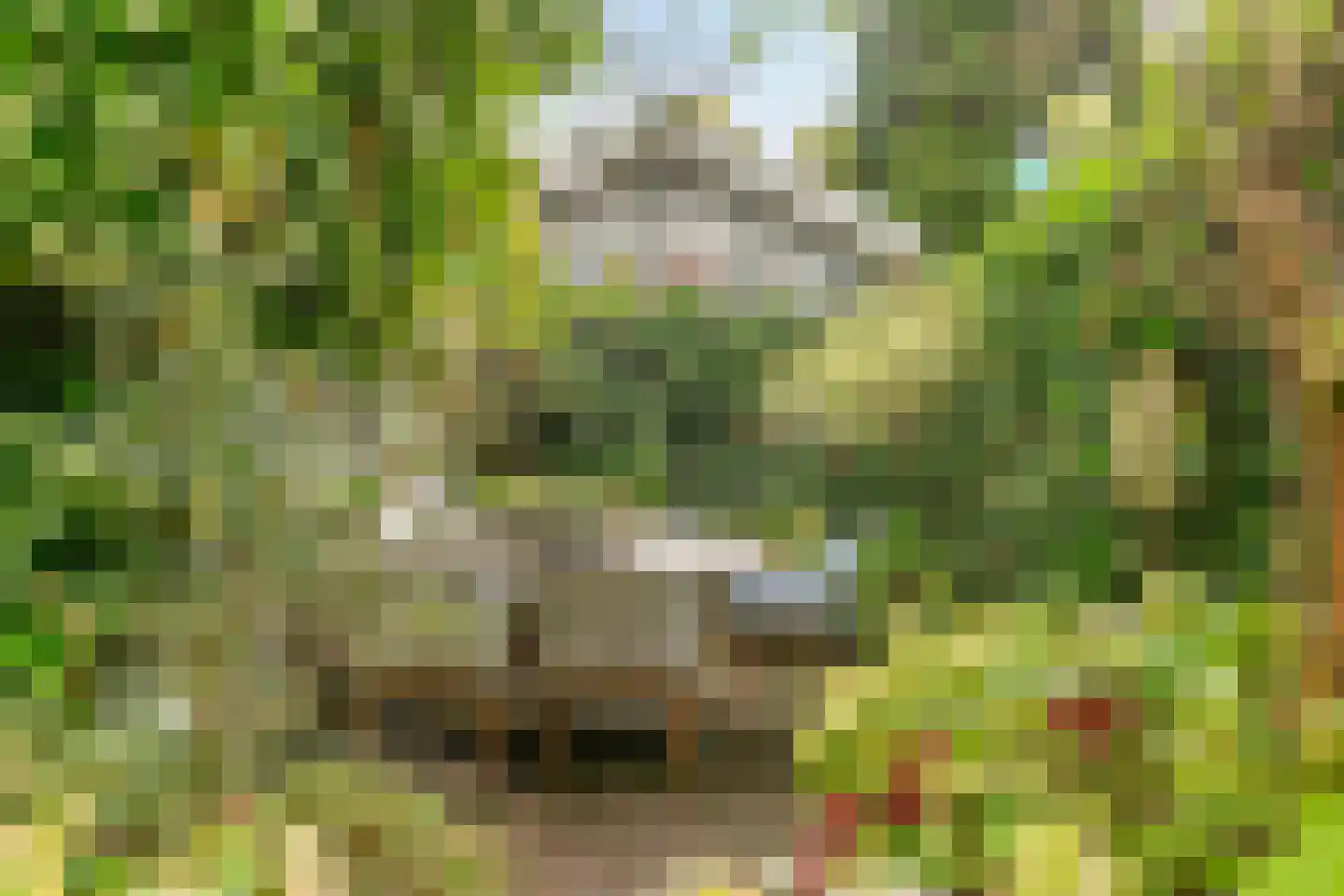 Westervesting 6 Edam thumbnail 29