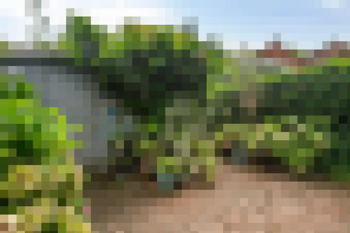 Westervesting 6 Edam thumbnail 30