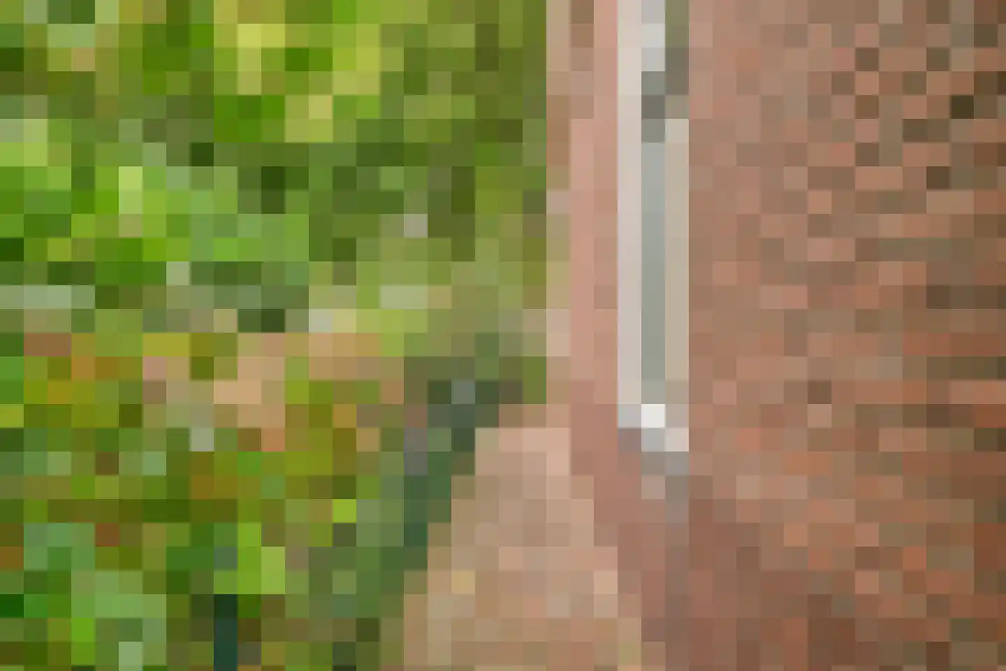 Westervesting 6 Edam thumbnail 31