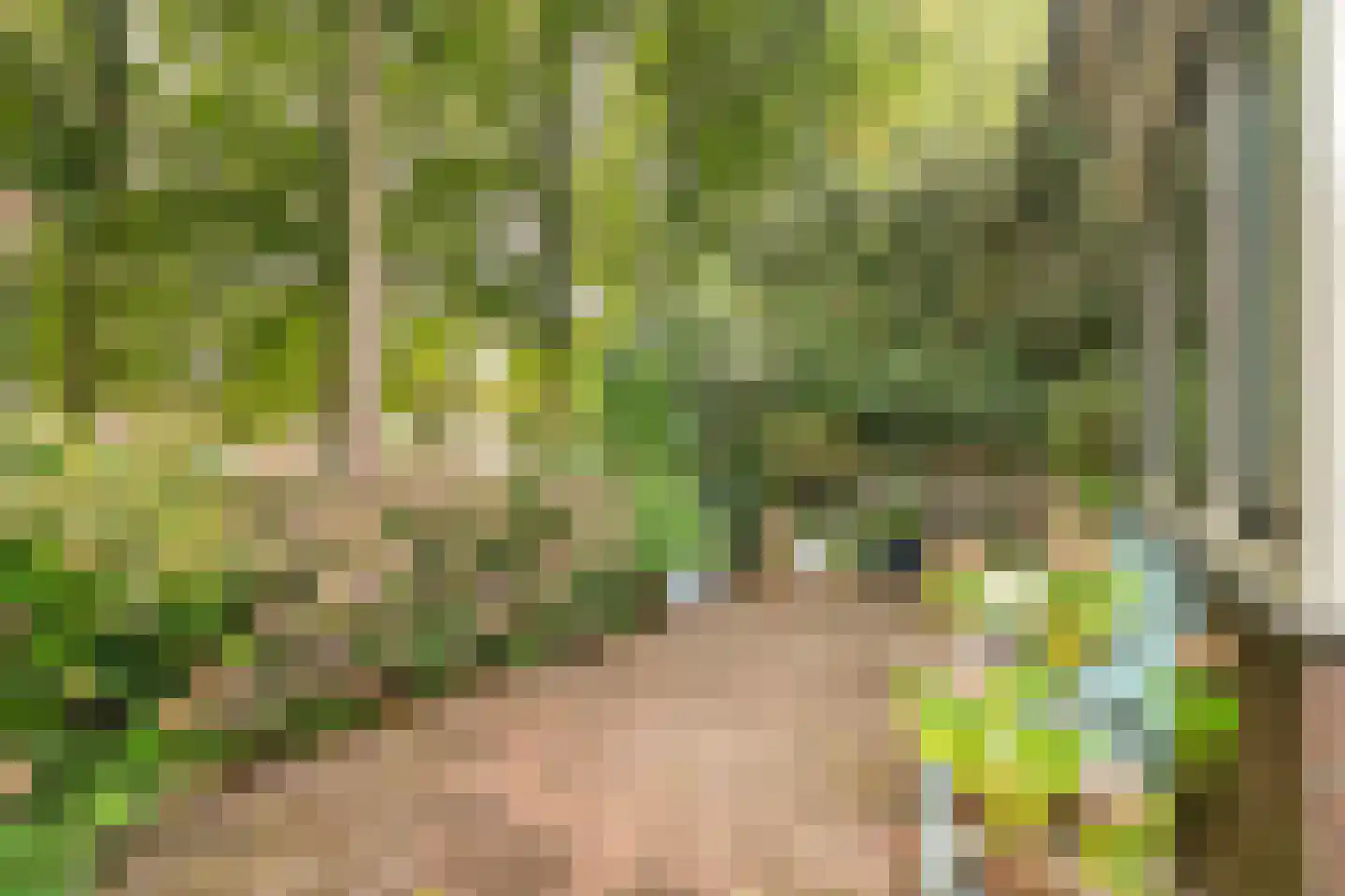 Westervesting 6 Edam thumbnail 32