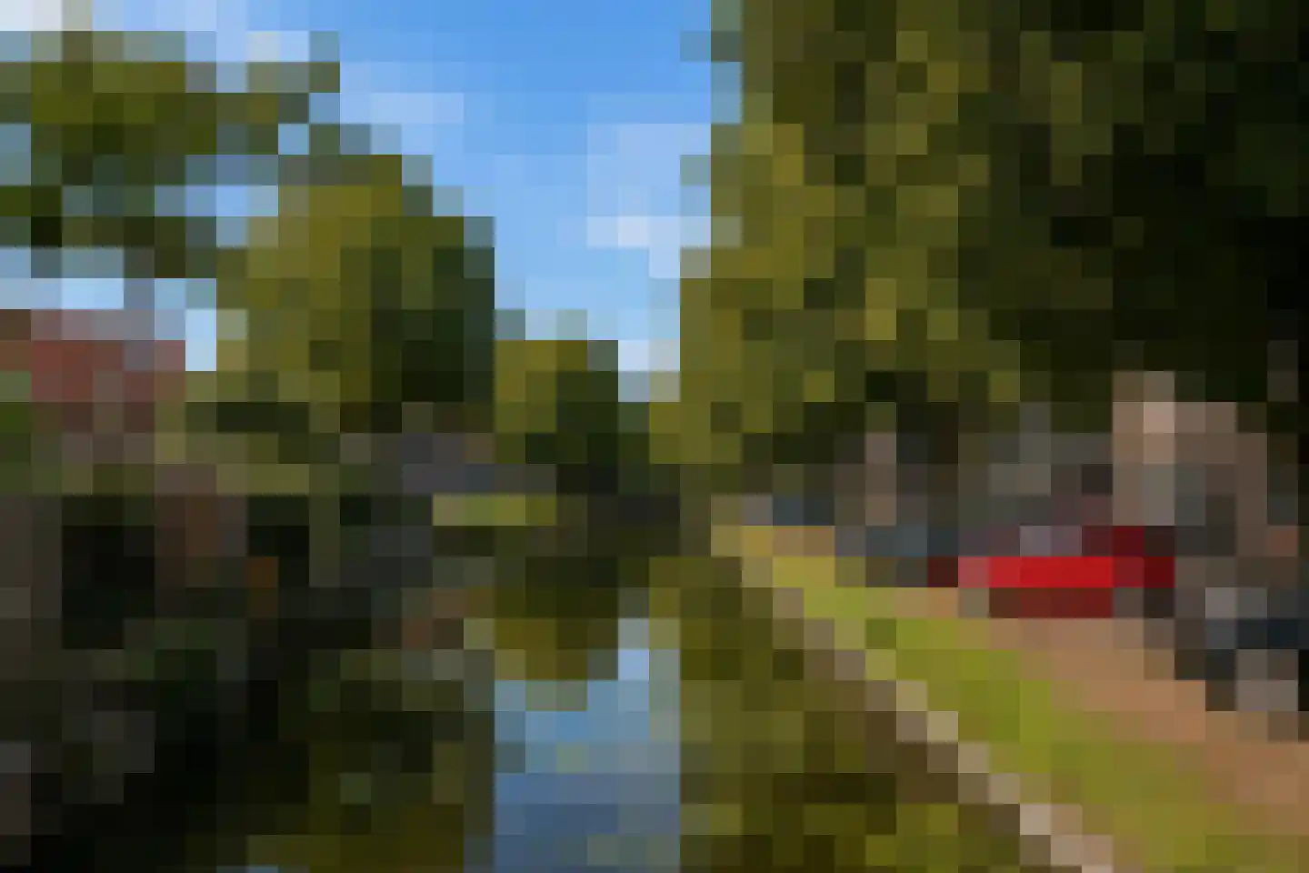 Westervesting 6 Edam thumbnail 35