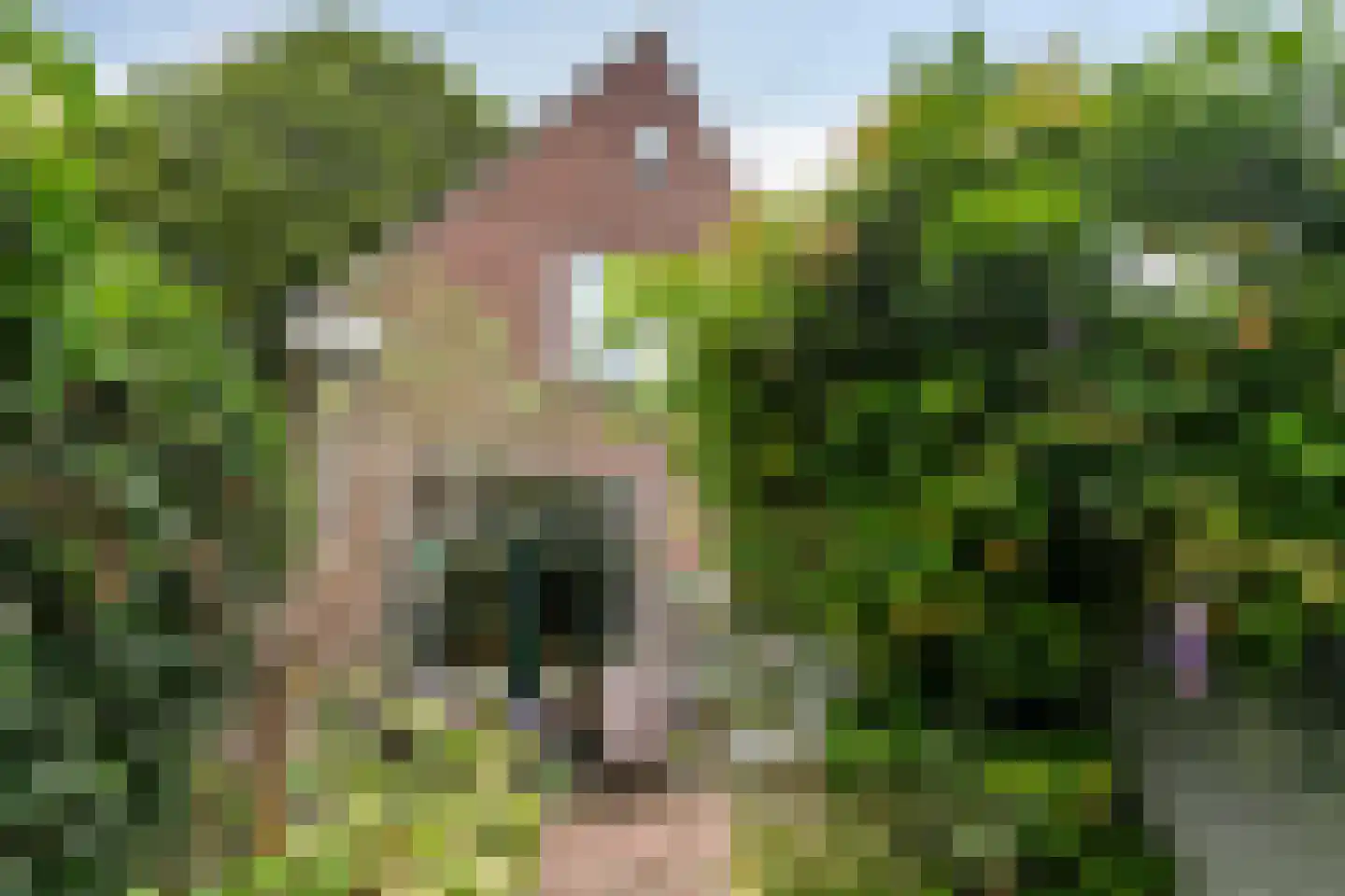 Westervesting 6 Edam thumbnail 5