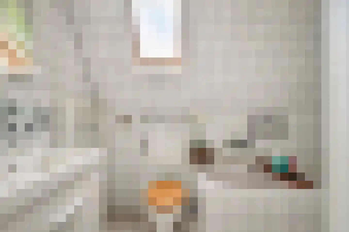 Westervesting 6 Edam thumbnail 6