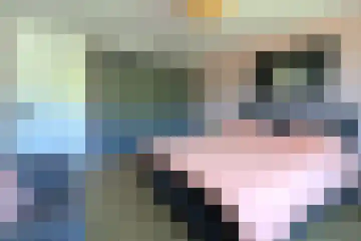 Westervoor 26 Marknesse thumbnail 17