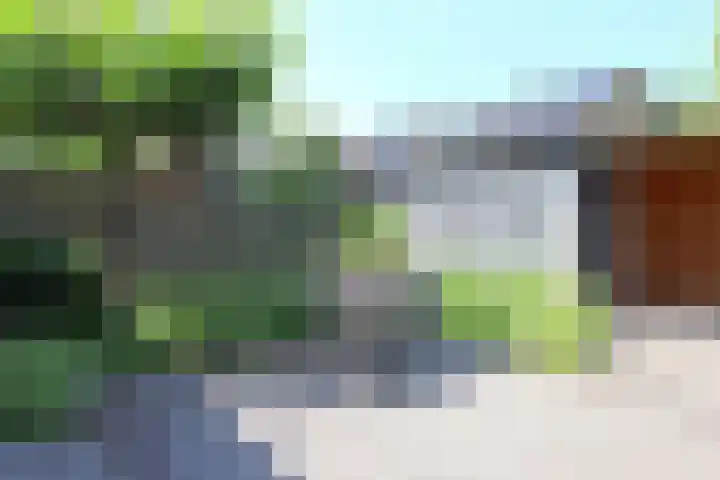 Westervoor 26 Marknesse thumbnail 25