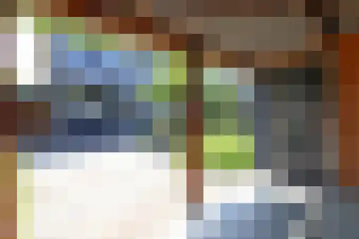 Westervoor 26 Marknesse thumbnail 28