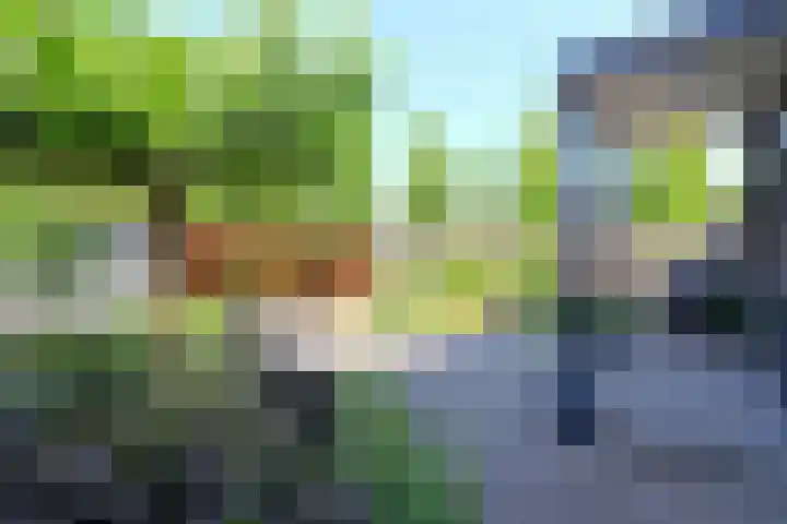 Westervoor 26 Marknesse thumbnail 29