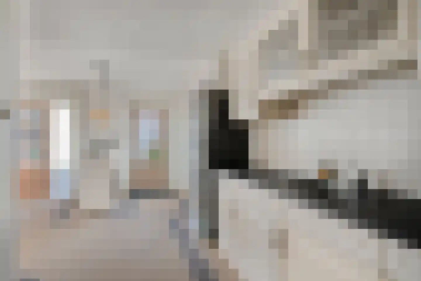 Westervoor 31 Marknesse thumbnail 26