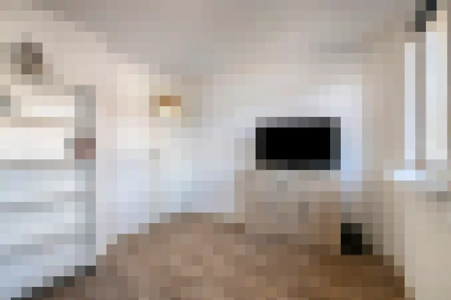 Westervoor 31 Marknesse thumbnail 34