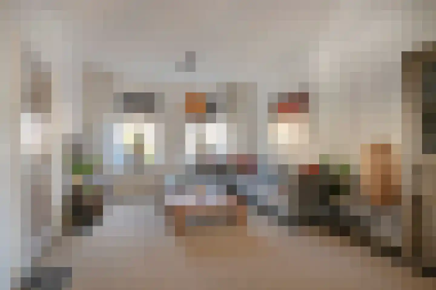 Westervoor 31 Marknesse thumbnail 9