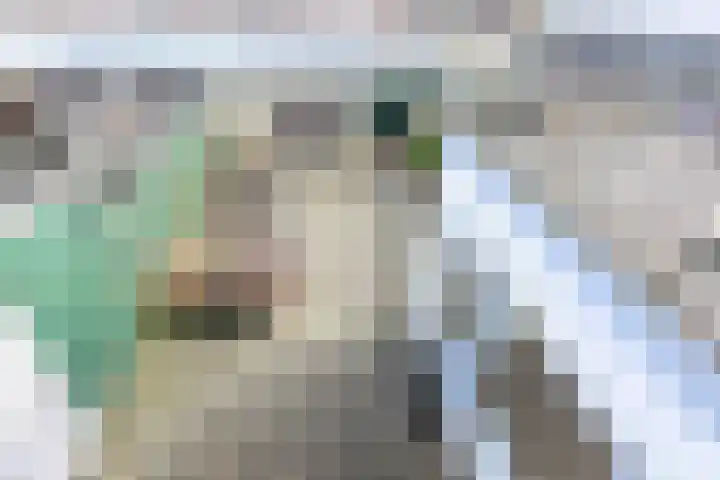 Westervoor 45 Marknesse thumbnail 30