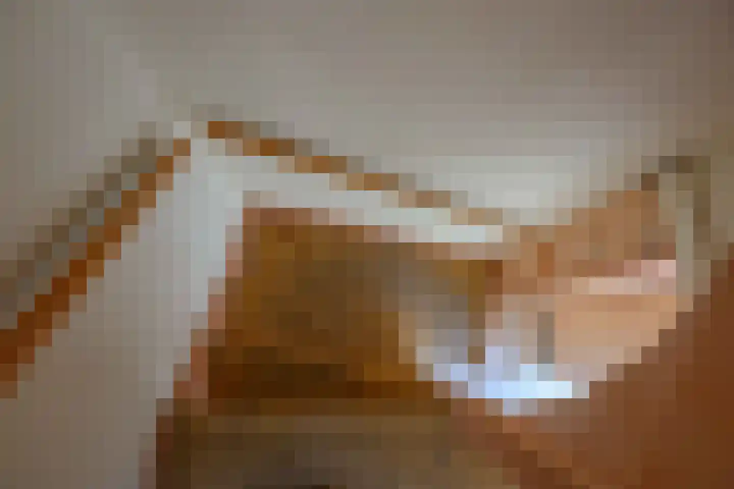 Westervoor 45 Marknesse thumbnail 38