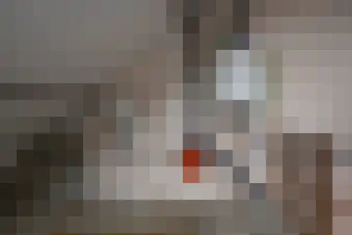Westervoor 45 Marknesse thumbnail 42
