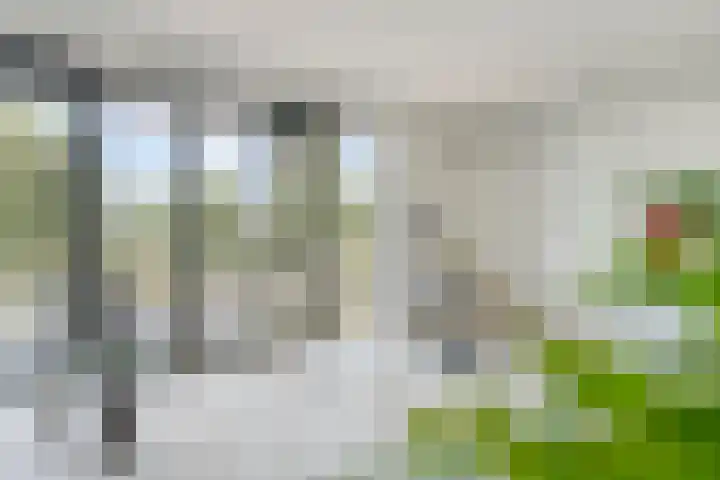Westervoortsedijk 16 11 Arnhem thumbnail 11