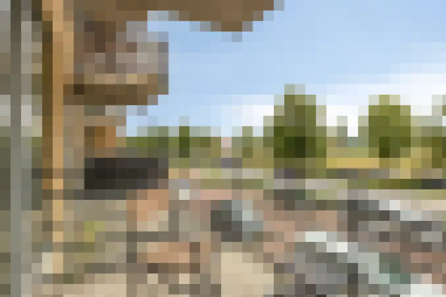 Westervoortsedijk 16 13 Arnhem thumbnail 19