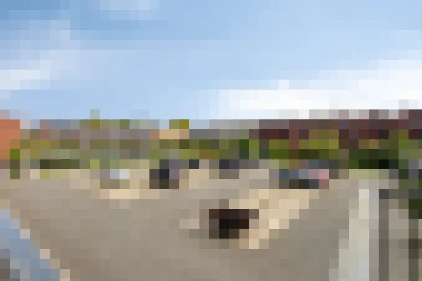 Westervoortsedijk 16 13 Arnhem thumbnail 24