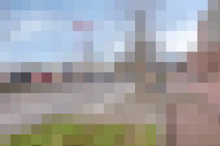Westervoortsedijk 16 20 Arnhem thumbnail 27