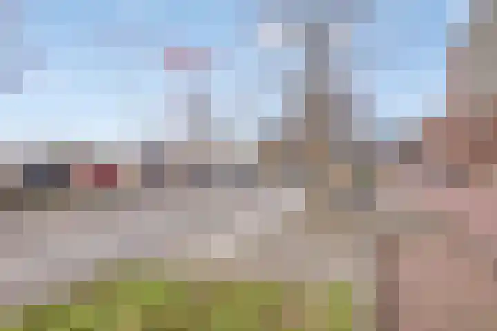 Westervoortsedijk 16 45 Arnhem thumbnail 26