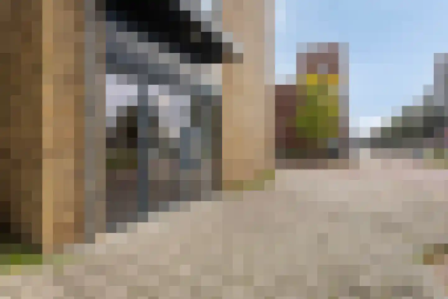 Westervoortsedijk 16 46 Arnhem thumbnail 6